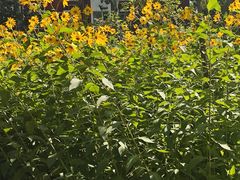 -回龙观体育文化公园