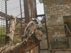 -石家庄市动物园