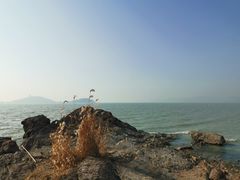 -上海市保健医疗中心