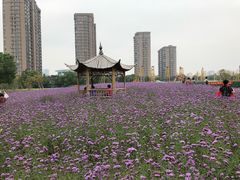 -杭州城北体育公园