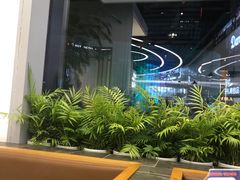 -丹礼糖甜品