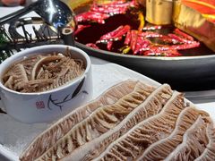 -小龙翻大江文化火锅(宽窄店)