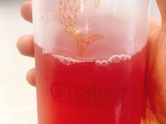 树莓果茶-八喜G’nature冰淇淋旗舰店