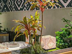 -芸山季·云南野生菌火锅(宝能环球汇店)