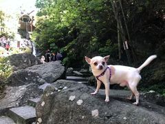 -山沟沟景区