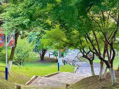 -南京古林公园