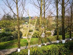 -铁山坪森林公园