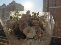 -成都你六姐·牛肉冒菜(城市集市合生汇店)