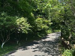 -汤山公园