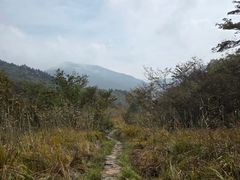 -浙西天池景区