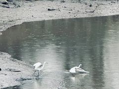 -木守西溪溪隐餐厅