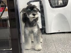 -宠物家(长阳店)