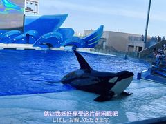 -上海海昌海洋公园
