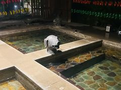 -中家鑫园温泉酒店鑫悦汤泉