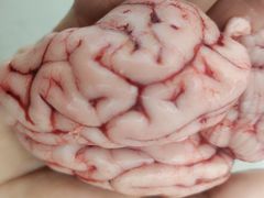 -辣川婆鲜肉自助串串香(三台子店)