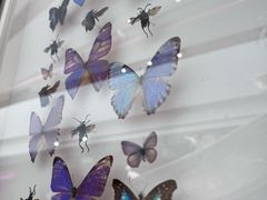-中国湿地博物馆