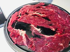 -二荆条·蜀鲜汇城市森林火锅