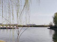 -大兴滨河森林公园