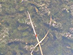 -苏州太湖湖滨国家湿地公园