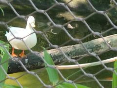 -北京市海淀外国语实验学校