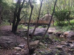 -云岫谷自然风景区