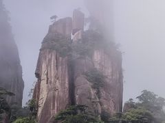 -菜当家