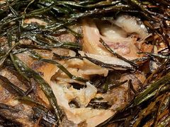 香葱鸦片鱼头-老吉士(环贸iapm店)