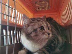 -宠颐生宠物医院·犬猫全科·皮肤科(商业街店)