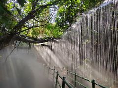 -青青世界