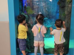 -乐兜兜儿童探索乐园(长嘉汇购物公园店)