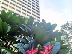 -广州花园酒店