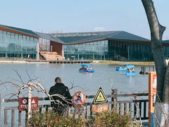 -上海长兴岛郊野公园