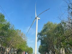 -仙人岛