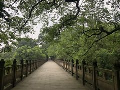 -南山植物园