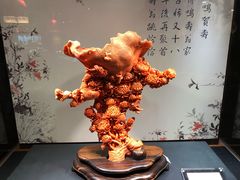 -绮丽珊瑚(台北101旗舰门市店)