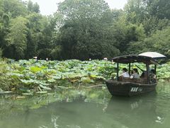 -西溪国家湿地公园