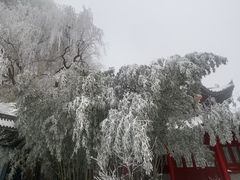 -秦岭终南山世界地质公园翠华山景区