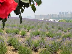 -雪浪山卡丁车俱乐部