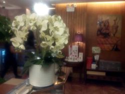 android_upload_pic-TIME SPA科技美肤机构