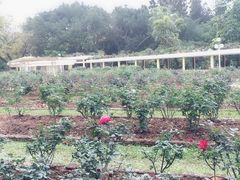 -人民公园(罗湖区)