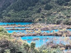 -乡土特色.冷锅鱼.牦牛肉汤锅