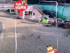 -无锡动物园·太湖欢乐园