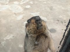 -呀路古热带植物园