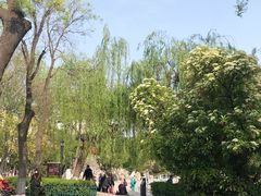 -莲湖公园