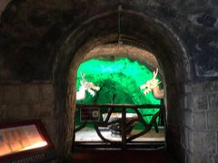 -青岛葡萄酒博物馆