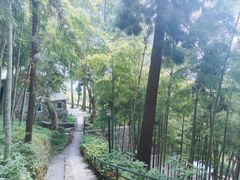 -莫干山风景区
