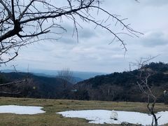 景点-关山草原