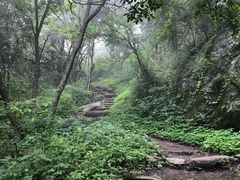 -王顺山国家森林公园
