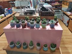 -百新书局(尚悦湾店)