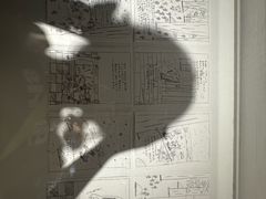 -正佳自然科学博物馆